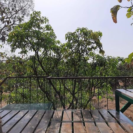 Hornbill Farm Resort Гайдарабад Екстер'єр фото