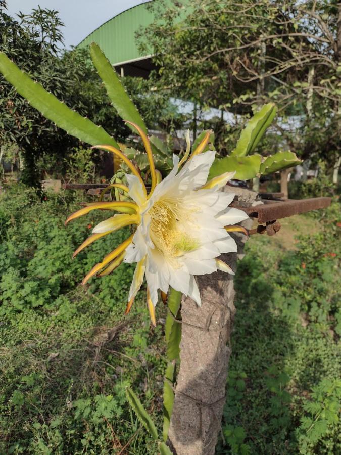 Hornbill Farm Resort Гайдарабад Екстер'єр фото